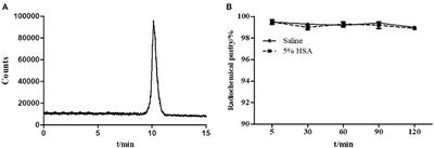 Development of an Albumin-Based PSMA Probe With Prolonged Half-Life